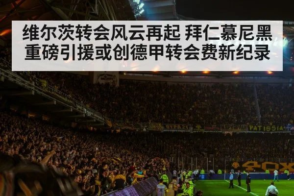 soccer stadium atmosphere